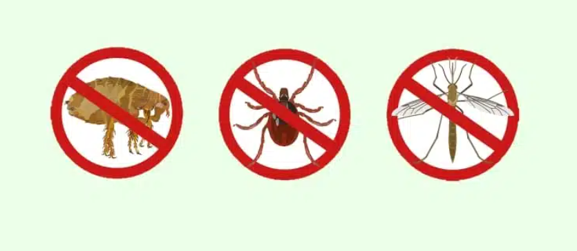 Beauty Pure Protection Silk