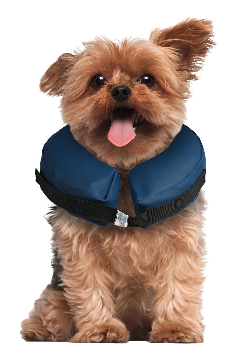Aufblasbarer Hundekragen XS