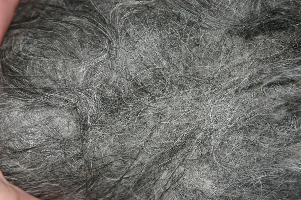 Beauty Pure POWER Frizz Entfilzer