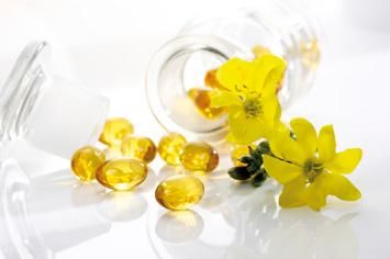 Nachtkerzenöl Bioqualität